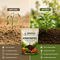 1kg Vermicompost
