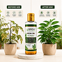 Neem Oil