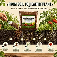 Multi-Nutrient Organic Fertilizer