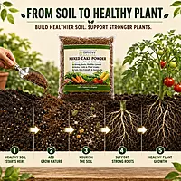 Multi-Nutrient Organic Fertilizer