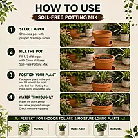 Soil-Free Potting Mix For Indoor Plants