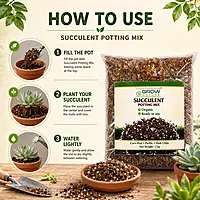 Succulent Potting Mix - 2kg