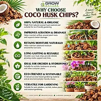 Husk Chips