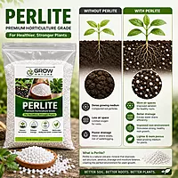 Perlite for Plants