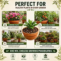 Soilless Potting Mix For Outdoor Plants