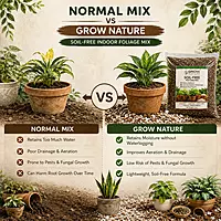 Soil-Free Potting Mix For Indoor Plants