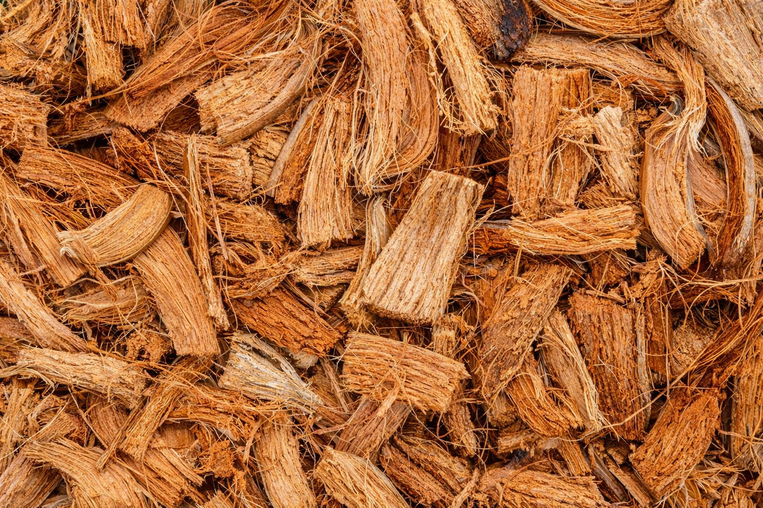 Husk Chips